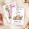 Winnie The Pooh Classic Pooh Bear 1st Year Milestone Cards - Pink Baby Girls Keepsake