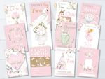 Vintage Pink Floral Botanical Boho Milestone Cards - Baby Girl Keepsake