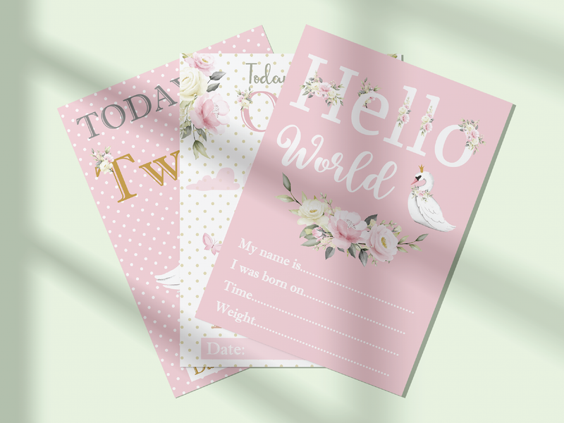 Vintage Pink Floral Botanical Boho Milestone Cards - Baby Girl Keepsake