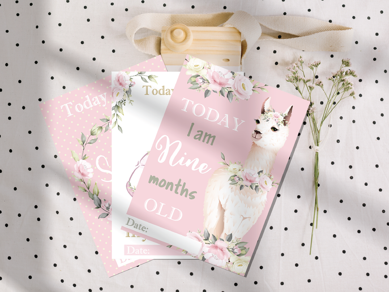 Vintage Pink Floral Botanical Boho Milestone Cards - Baby Girl Keepsake