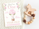 Vintage Pink Floral Botanical Boho Milestone Cards - Baby Girl Keepsake