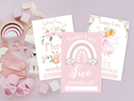 Vintage Pink Floral Botanical Boho Milestone Cards - Baby Girl Keepsake