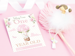 Vintage Pink Floral Botanical Boho Milestone Cards - Baby Girl Keepsake