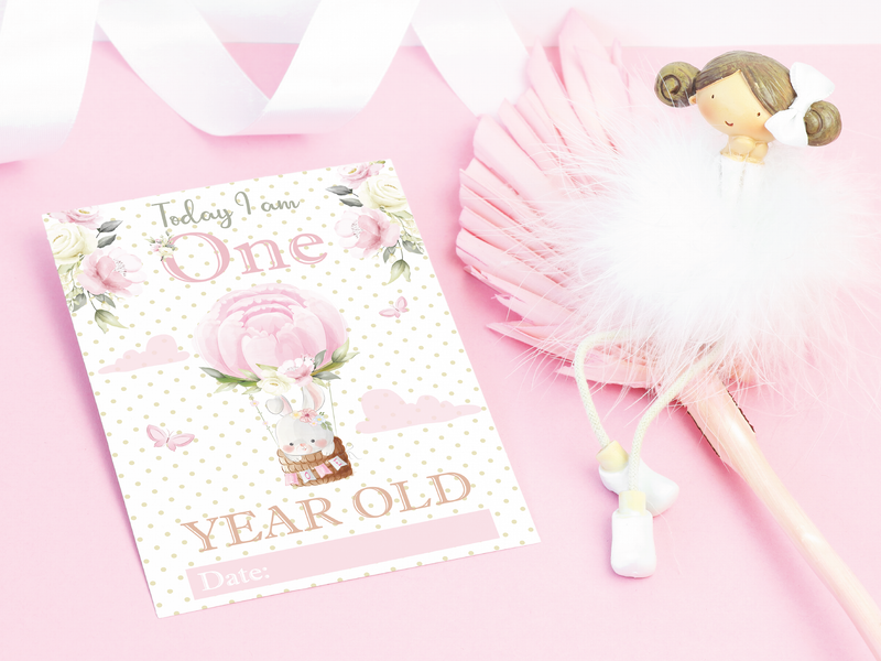 Vintage Pink Floral Botanical Boho Milestone Cards - Baby Girl Keepsake