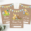 Winnie The Pooh Classic Pooh Bear 1st Year Milestone Cards - Blue Baby Boys Keepsake