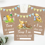 Winnie The Pooh Classic Pooh Bear 1st Year Milestone Cards - Blue Baby Boys Keepsake