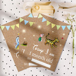Winnie The Pooh Classic Pooh Bear 1st Year Milestone Cards - Blue Baby Boys Keepsake