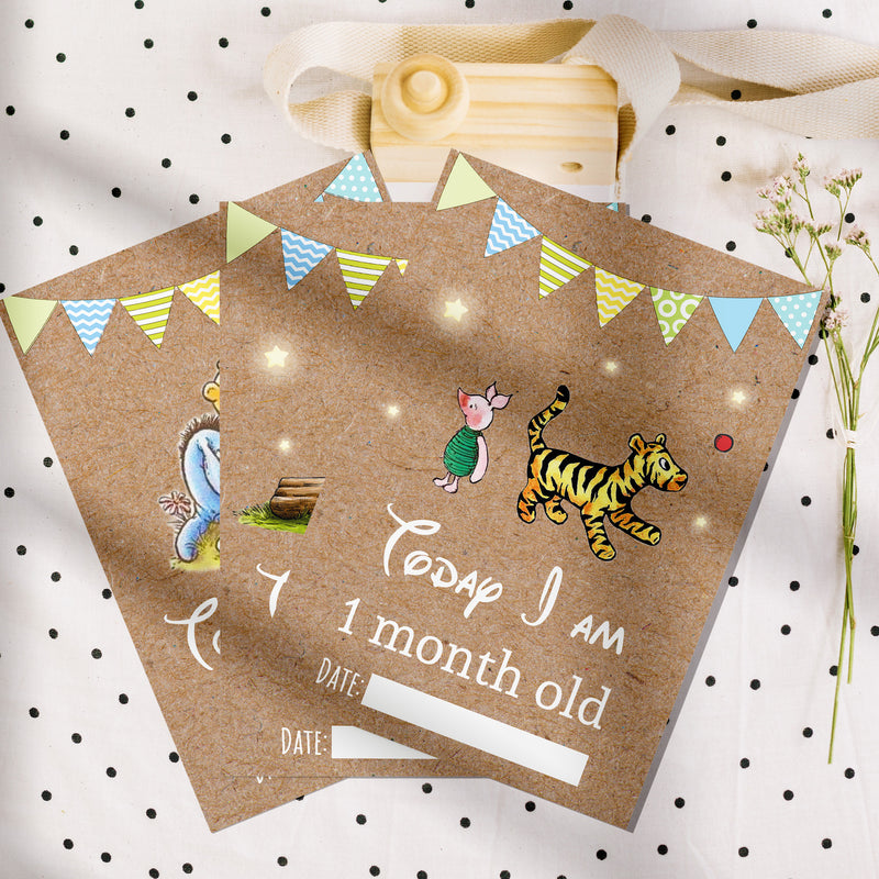 Winnie The Pooh Classic Pooh Bear 1st Year Milestone Cards - Blue Baby Boys Keepsake