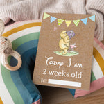 Winnie The Pooh Classic Pooh Bear 1st Year Milestone Cards - Blue Baby Boys Keepsake