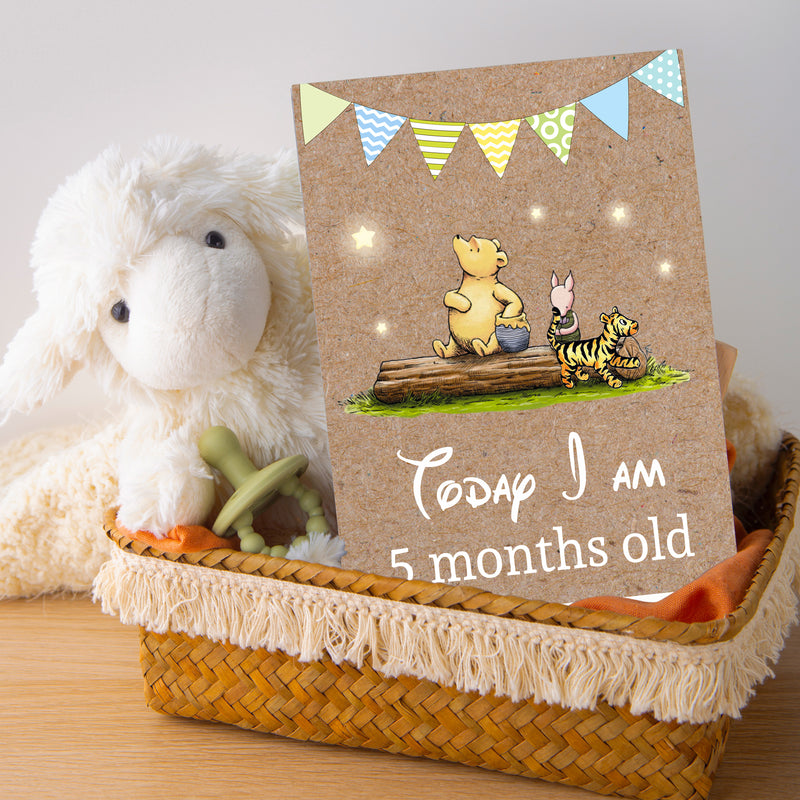 Winnie The Pooh Classic Pooh Bear 1st Year Milestone Cards - Blue Baby Boys Keepsake