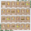 Winnie The Pooh Classic Pooh Bear 1st Year Milestone Cards - Blue Baby Boys Keepsake