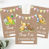 Winnie The Pooh Classic Pooh Bear 1st Year Milestone Cards - Blue Baby Boys Keepsake