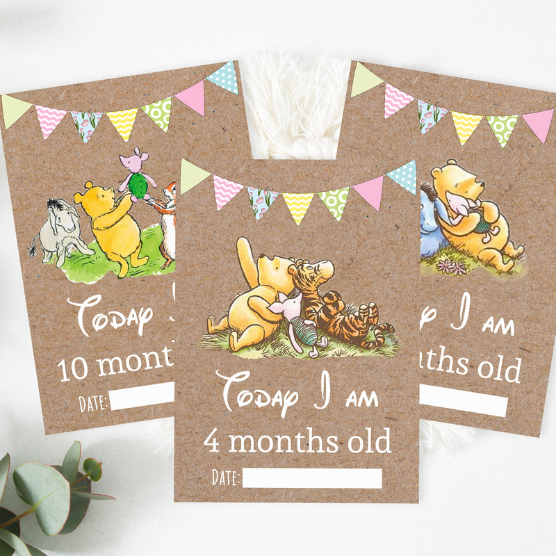 Winnie The Pooh Classic Pooh Bear 1st Year Milestone Cards - Blue Baby Boys Keepsake