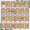 Winnie The Pooh Classic Pooh Bear 1st Year Milestone Cards - Blue Baby Boys Keepsake