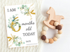 Boho Eucalyptus Baby Milestone Cards - Leaf-Themed, Botanical Memory Cards, Perfect Baby Shower Gift