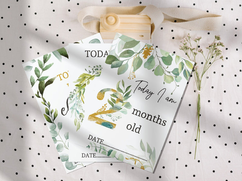 Boho Eucalyptus Baby Milestone Cards - Leaf-Themed, Botanical Memory Cards, Perfect Baby Shower Gift