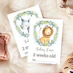 Jungle Safari Animals Baby Milestone Cards - Unisex Photo Prop