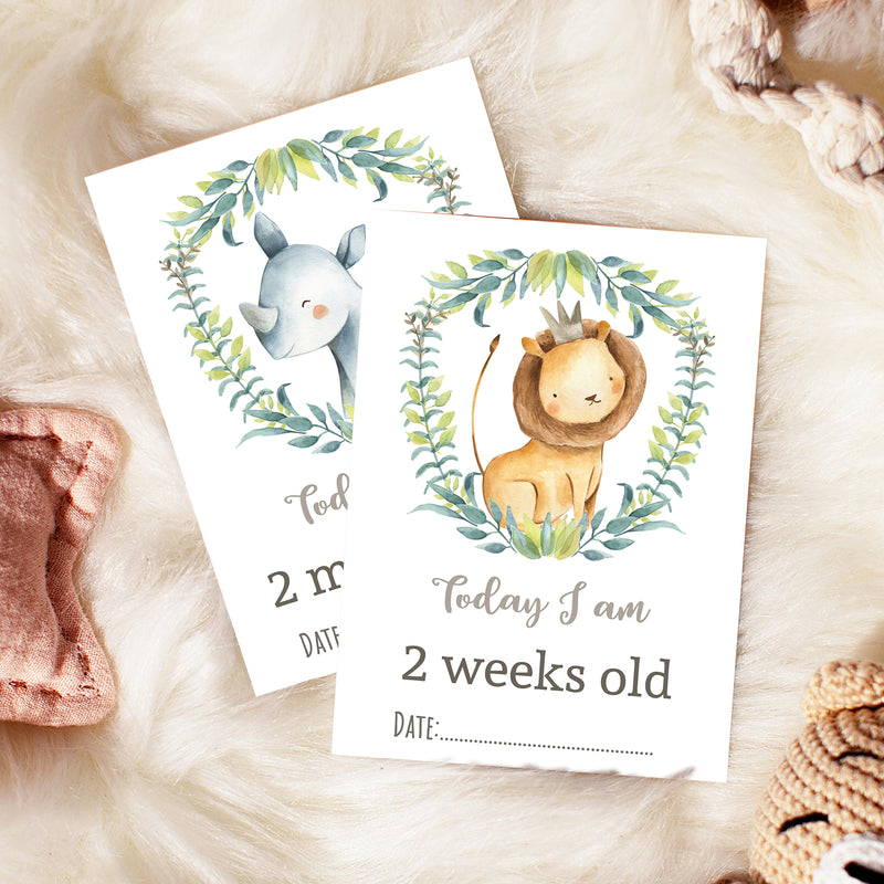 Jungle Safari Animals Baby Milestone Cards - Unisex Photo Prop