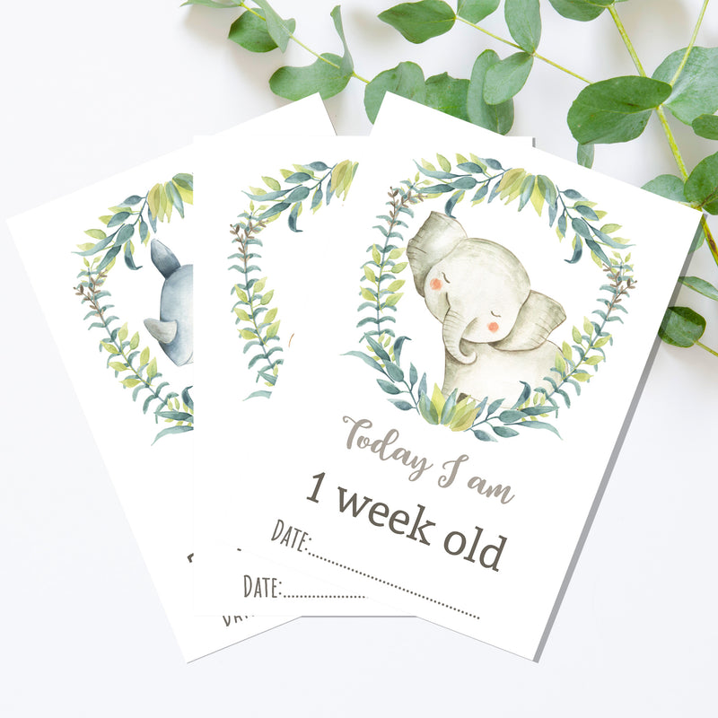Jungle Safari Animals Baby Milestone Cards - Unisex Photo Prop