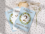 Vintage Baby Boy Memory Milestone Cards - Ideal Baby Shower Gift, Keepsake Milestone Cards for Boys