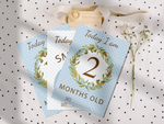 Vintage Boho Blue Baby Boy Milestone Cards - Perfect New Baby or Baby Shower Gift