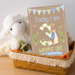 Peter Rabbit 1st Year Milestone Cards - Pink Baby Girls Keepsake