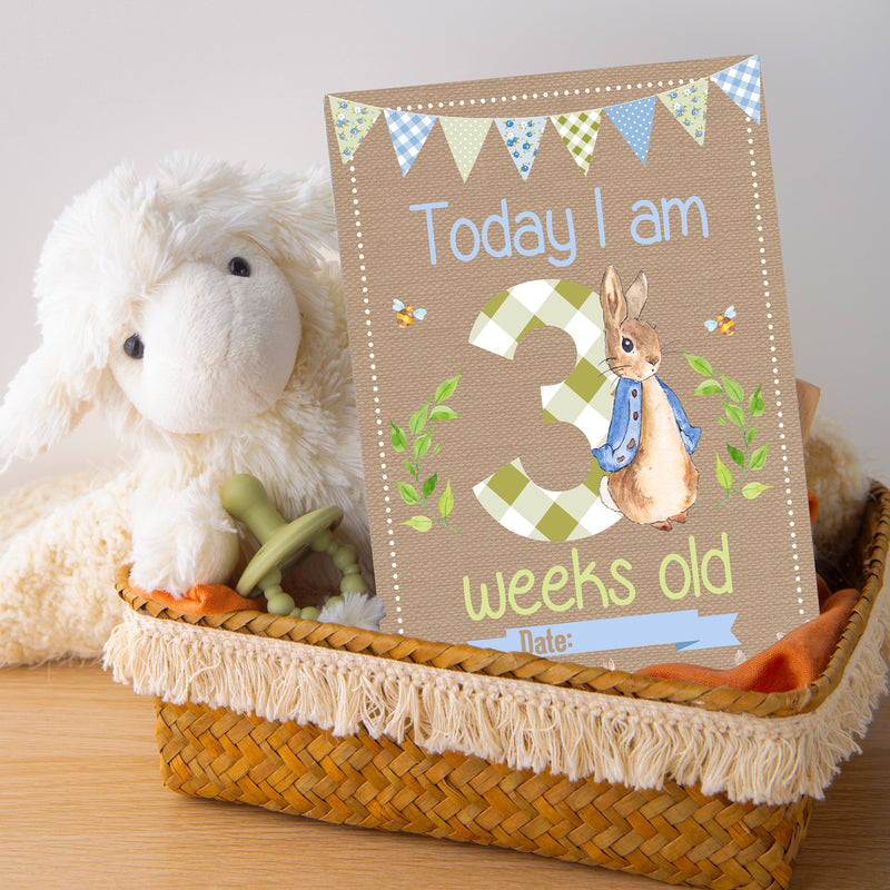 Peter Rabbit 1st Year Milestone Cards - Pink Baby Girls Keepsake
