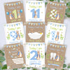 Peter Rabbit 1st Year Milestone Cards - Pink Baby Girls Keepsake