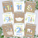 Peter Rabbit 1st Year Milestone Cards - Pink Baby Girls Keepsake