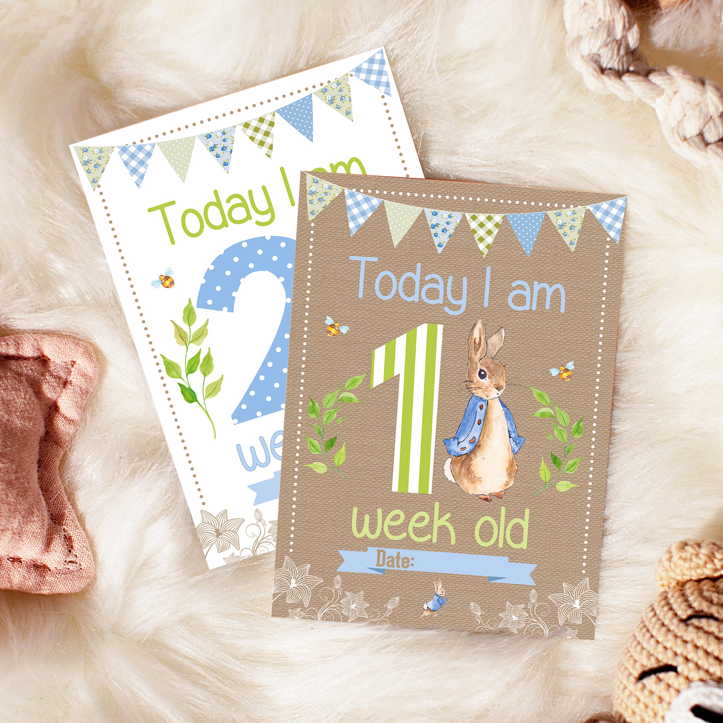 Baby Rabit Card Peter Rabbit Baby Milestone Cards - Blue Baby Boys - New Baby Gift