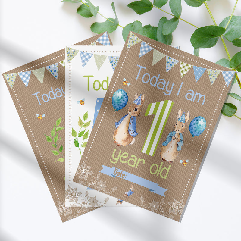Peter Rabbit 1st Year Milestone Cards - Pink Baby Girls Keepsake
