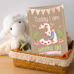 Peter Rabbit 1st Year Milestone Cards - Pink Baby Girls Keepsake