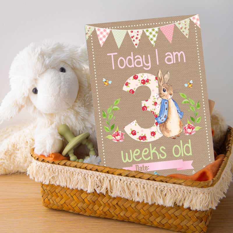 Peter Rabbit 1st Year Milestone Cards - Pink Baby Girls Keepsake