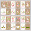 Peter Rabbit 1st Year Milestone Cards - Pink Baby Girls Keepsake