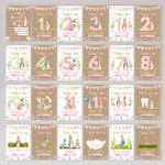 Peter Rabbit 1st Year Milestone Cards - Pink Baby Girls Keepsake