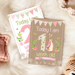Peter Rabbit 1st Year Milestone Cards - Pink Baby Girls Keepsake
