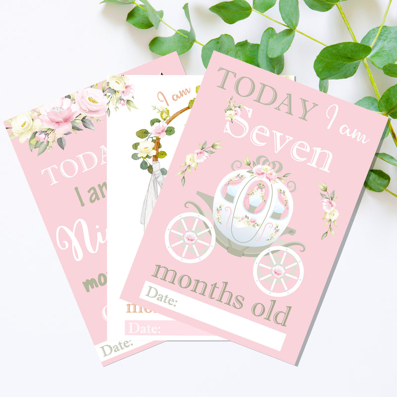 Vintage Pink Floral Botanical Boho Milestone Cards - Baby Girl Keepsake