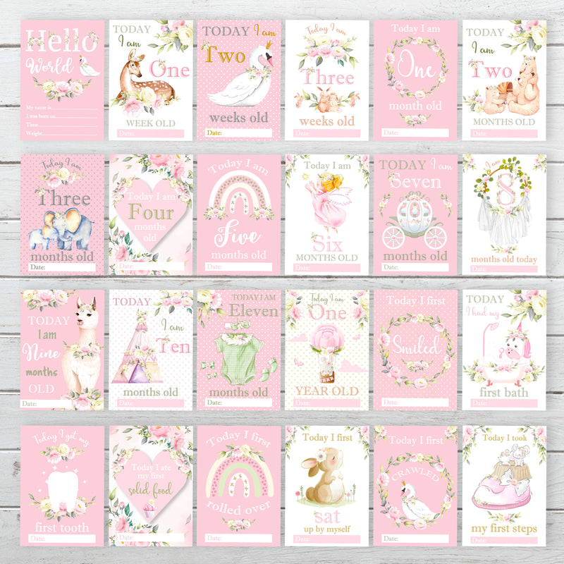 Vintage Pink Floral Botanical Boho Milestone Cards - Baby Girl Keepsake