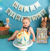 Peter Rabbit Baby Milestone Cards - Ideal Baby Shower Gift, Keepsake Memory Cards