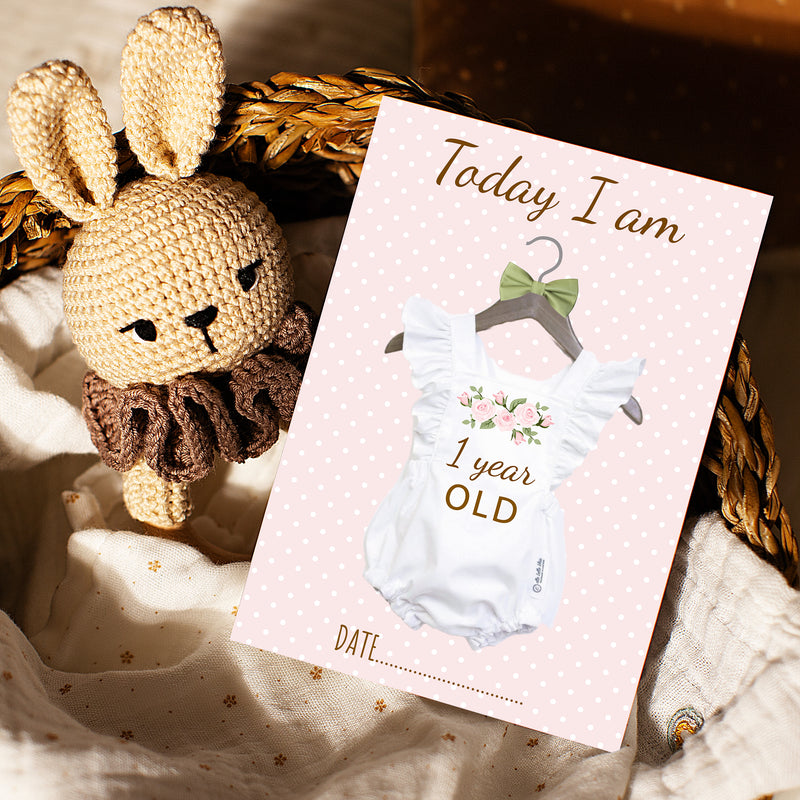 Vintage Boho Pink Baby Girl Milestone Cards - Pink Floral Keepsake
