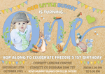 Personalised Boy Peter Rabbit Photo Invites