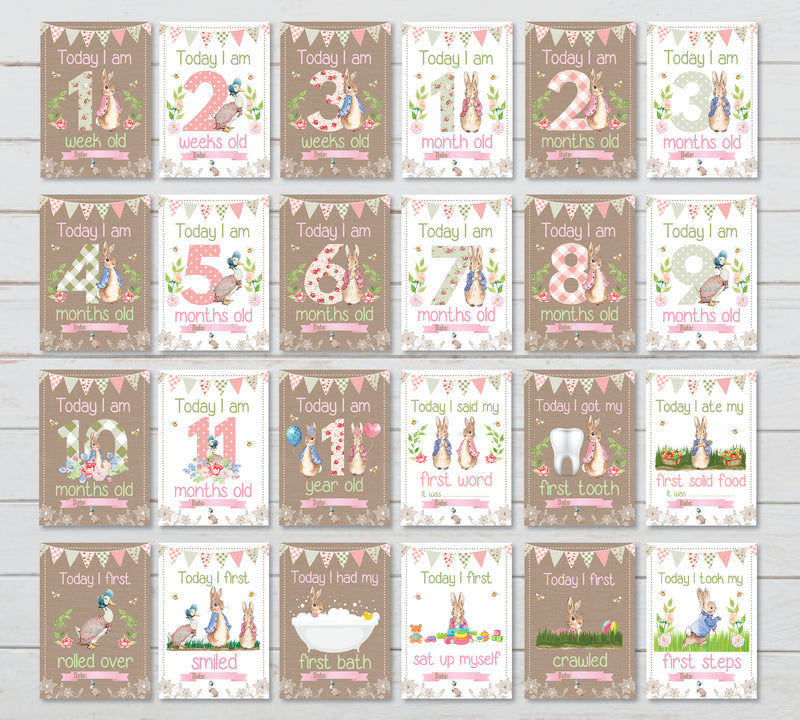 Peter Rabbit 1st Year Milestone Cards - Perfect New Baby or Baby Shower Gift, Memory Cards