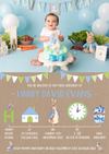 Peter Rabbit Boy Invites Timeline