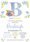 boy dumbo birthday party invites