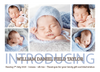 Baby Boy 5 Frame Photo Thank You Notes