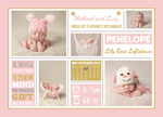 Baby Girl Calendar Design Notes FOLDED 