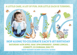 Personalised Peter Rabbit Photo Invites Boy