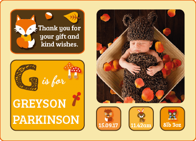 personalmoments-thank-you-card-fox-boy