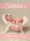 personalmoments-thank-you-card-humble-girl