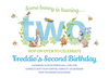 Boy Peter Rabbit Second Birthday Invites Personalised